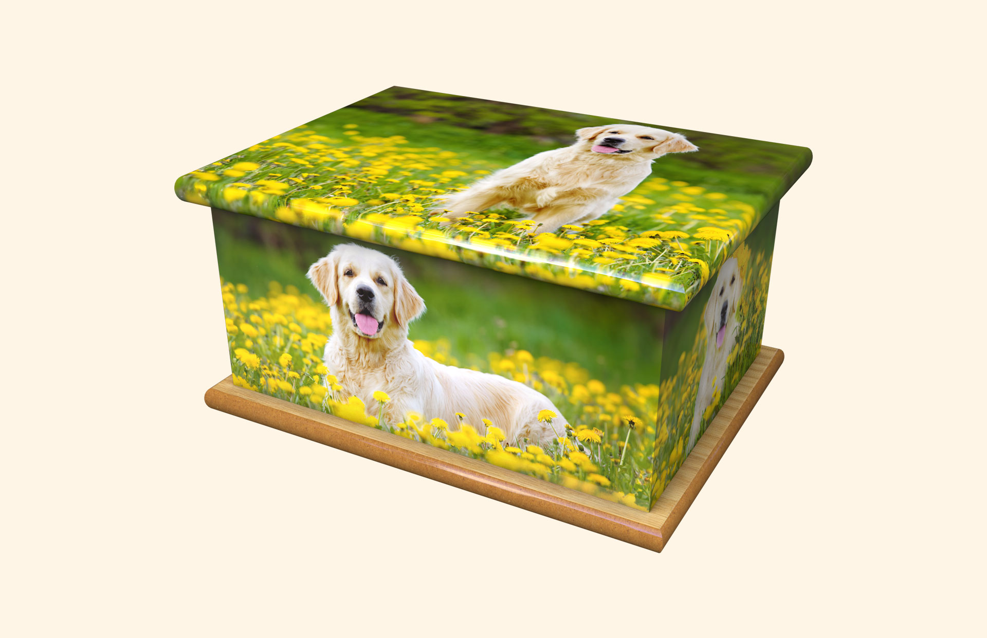 Beautiful Zoe adult ashes casket